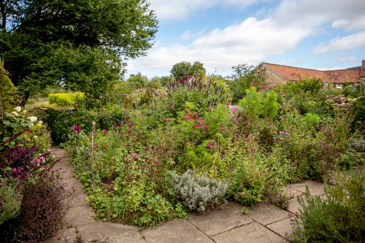 Studio Levien gardens in Somerset, England